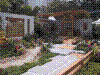 flower show2004 041.jpg